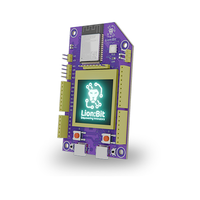 Lion:Bit Dev Board image