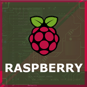 ESPBoards Raspberry Posts List