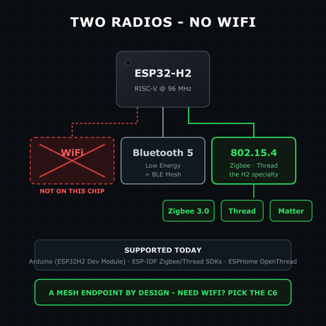 There is no WiFi on this board illustration